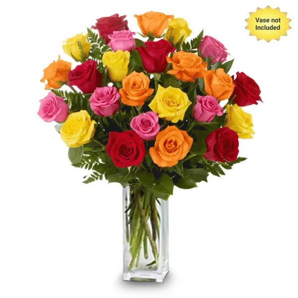 Two Dozen Long Stemmed Mixed Roses