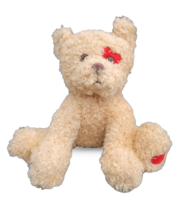 Valentine's Teddy Bear