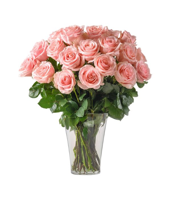 Pink roses bouquet in a vase