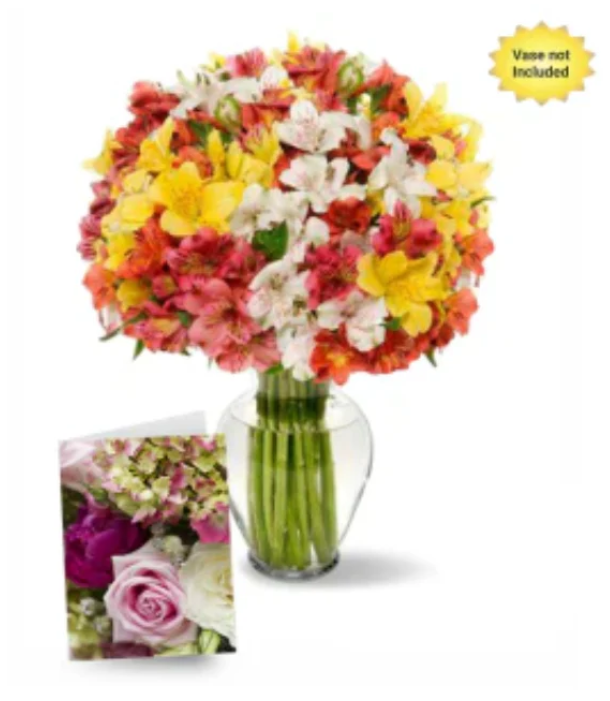 alstroemerias
