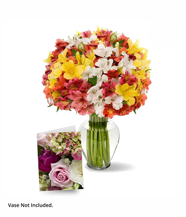100 Blooms of Alstroemeria I
