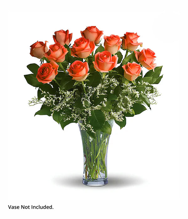 12 Long Stemmed Orange Roses