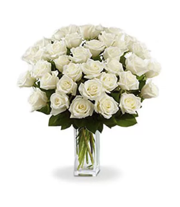 36 Long Stem White Roses