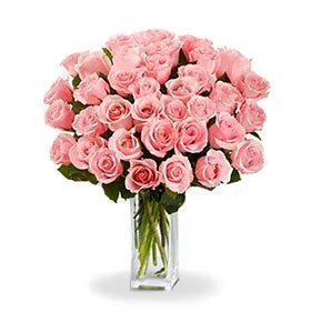 pink-roses
