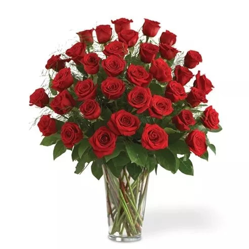Three Dozen Long Stem Red Roses