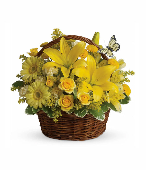 Basket Full of Wishes