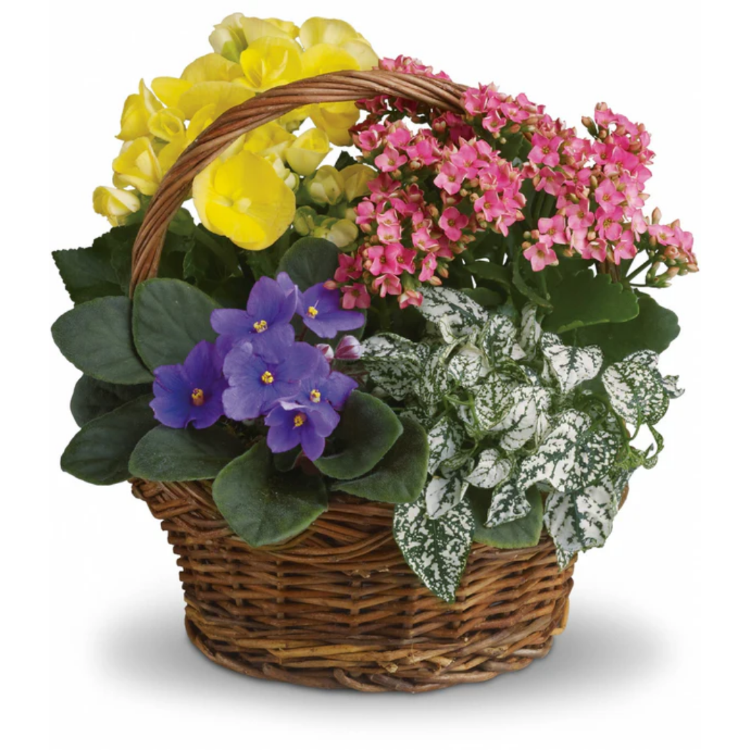 Blooming Planter Basket