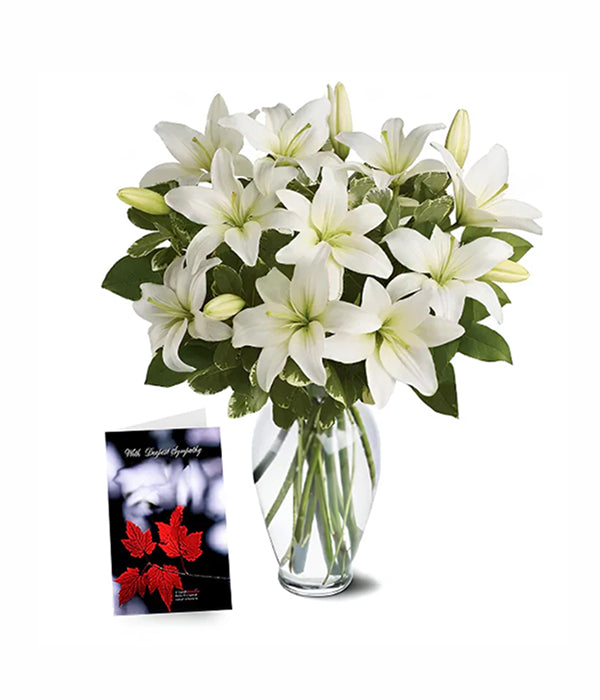 Heavenly Lilies