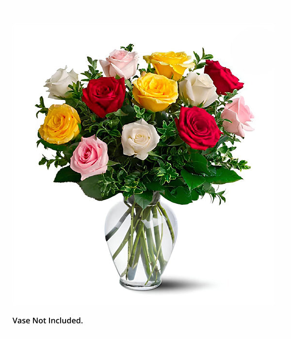 One Dozen Assorted Long Stem Roses