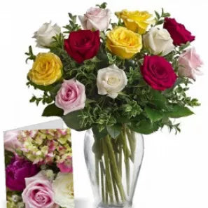 Assorted-Roses