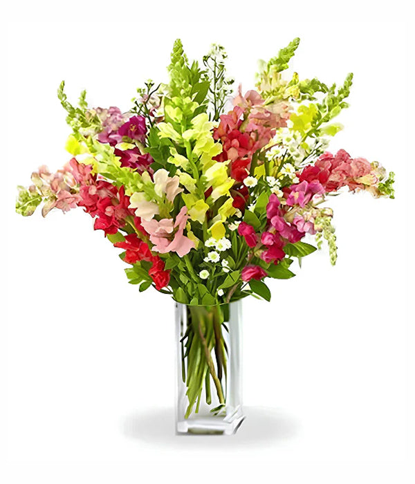 Super Snapdragons