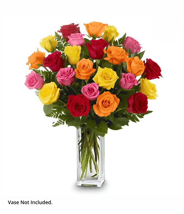 Two Dozen Long Stemmed Mixed Roses