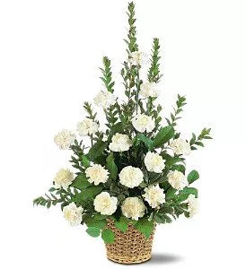 white_carnation_basket