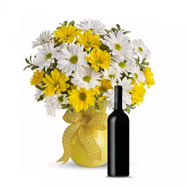 Sunshine Daises & Red Wine Gift Set