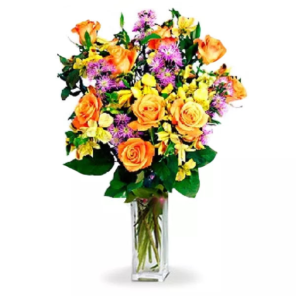 colorful-blooms