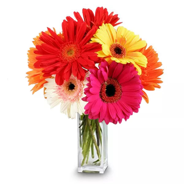 Gorgeous-Gerberas