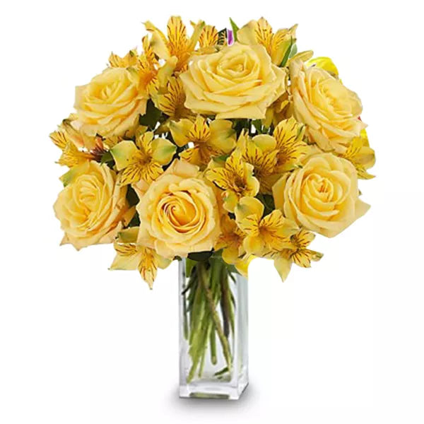 yellow-blooms