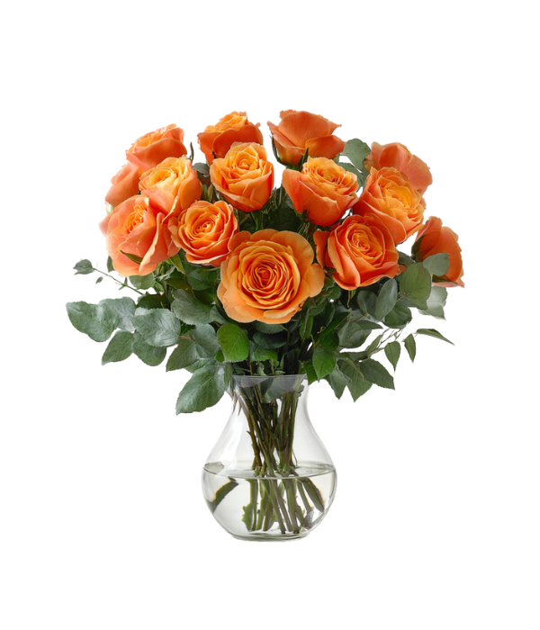 12 Long Stemmed Orange Roses